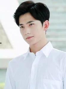 合肥明星 杨洋,合肥明星闪耀荧屏，魅力四溢的影视新星